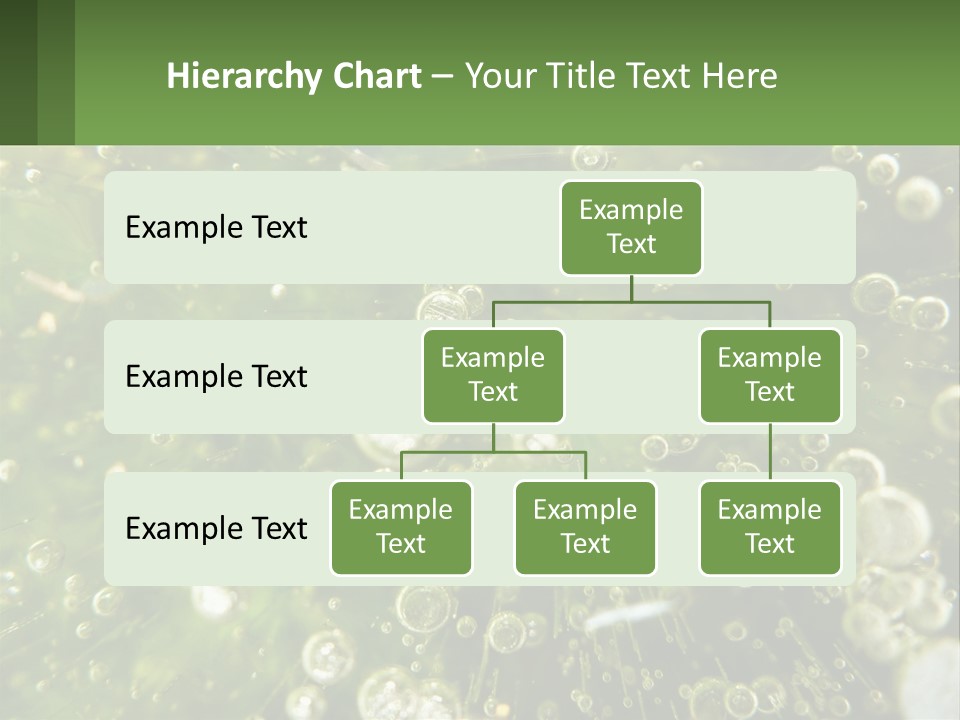 A Green Plant With Water Droplets On It PowerPoint Template