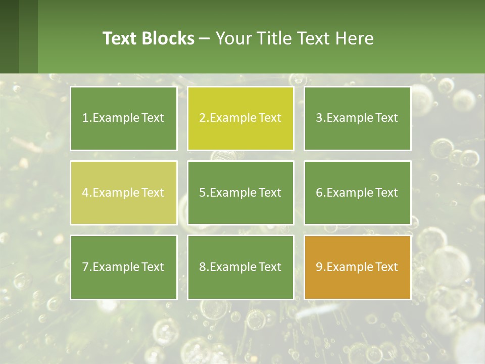 A Green Plant With Water Droplets On It PowerPoint Template