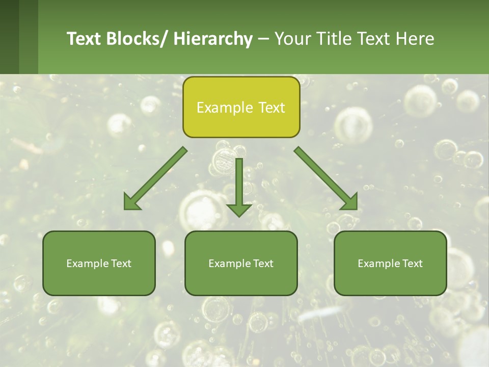 A Green Plant With Water Droplets On It PowerPoint Template