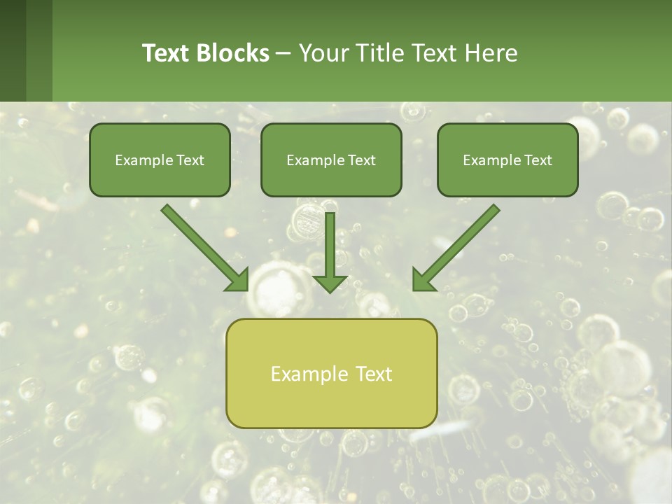 A Green Plant With Water Droplets On It PowerPoint Template