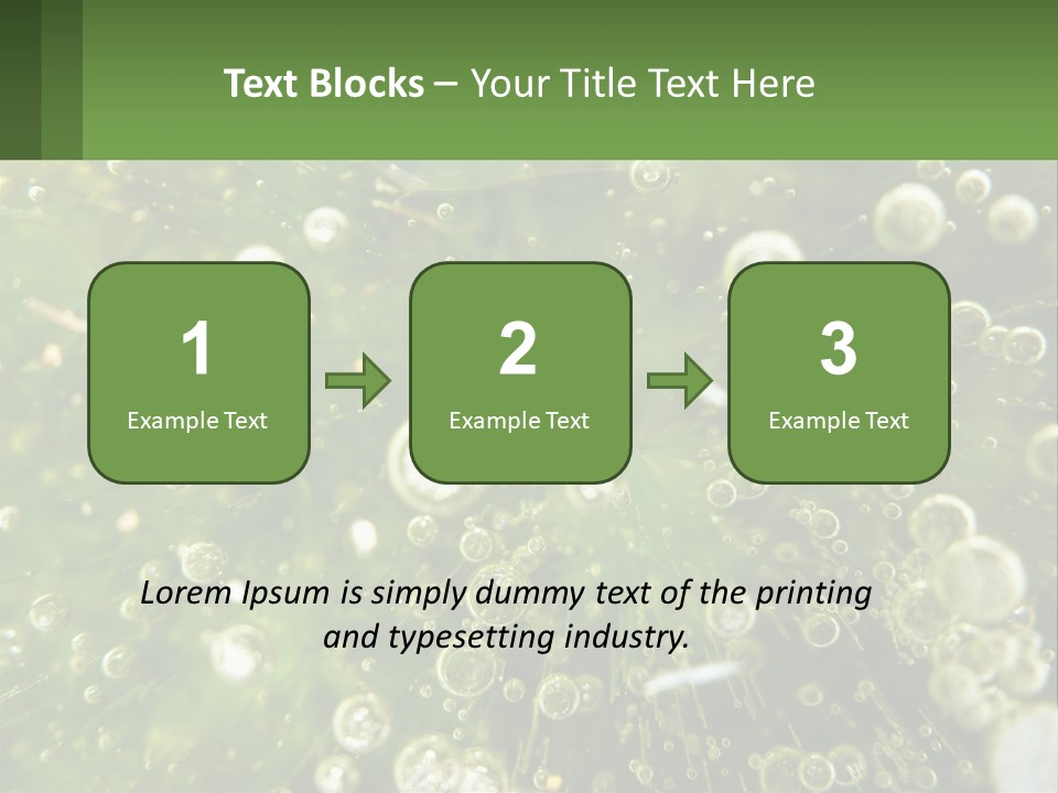 A Green Plant With Water Droplets On It PowerPoint Template