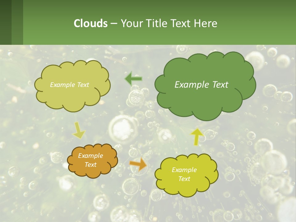 A Green Plant With Water Droplets On It PowerPoint Template