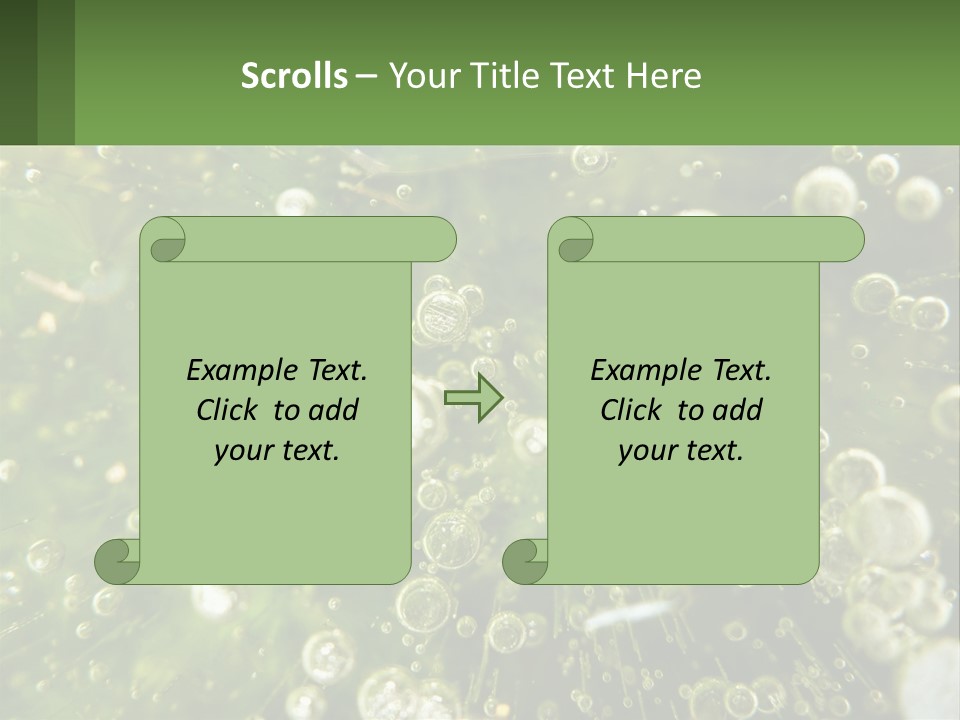 A Green Plant With Water Droplets On It PowerPoint Template