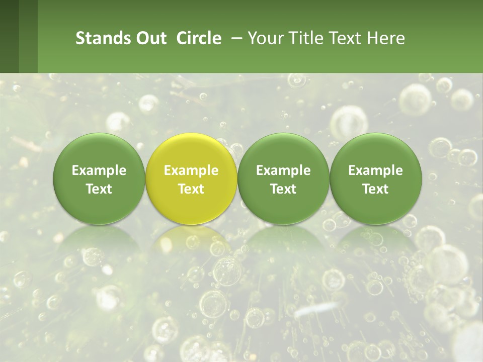 A Green Plant With Water Droplets On It PowerPoint Template
