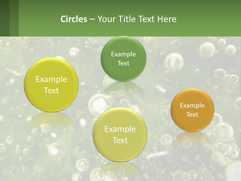 A Green Plant With Water Droplets On It PowerPoint Template