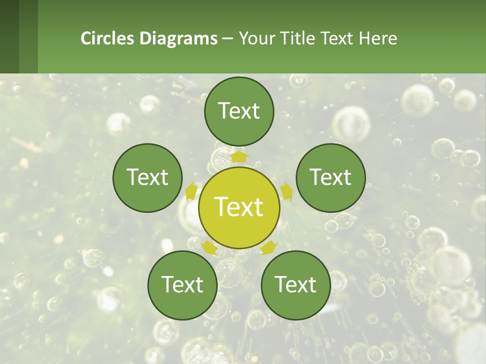 A Green Plant With Water Droplets On It PowerPoint Template