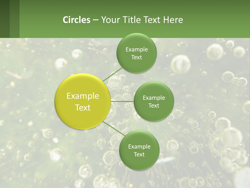 A Green Plant With Water Droplets On It PowerPoint Template