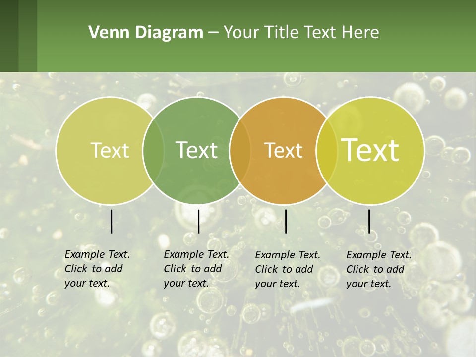 A Green Plant With Water Droplets On It PowerPoint Template