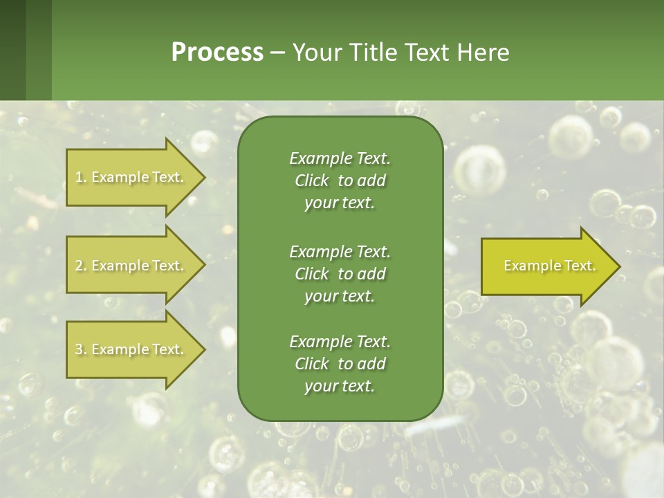 A Green Plant With Water Droplets On It PowerPoint Template