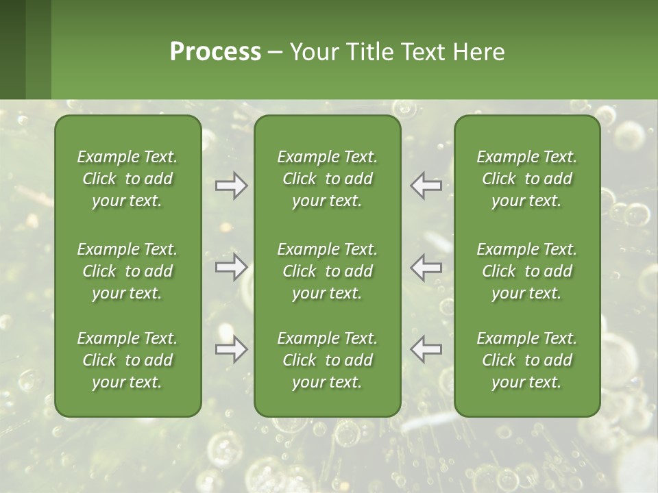 A Green Plant With Water Droplets On It PowerPoint Template