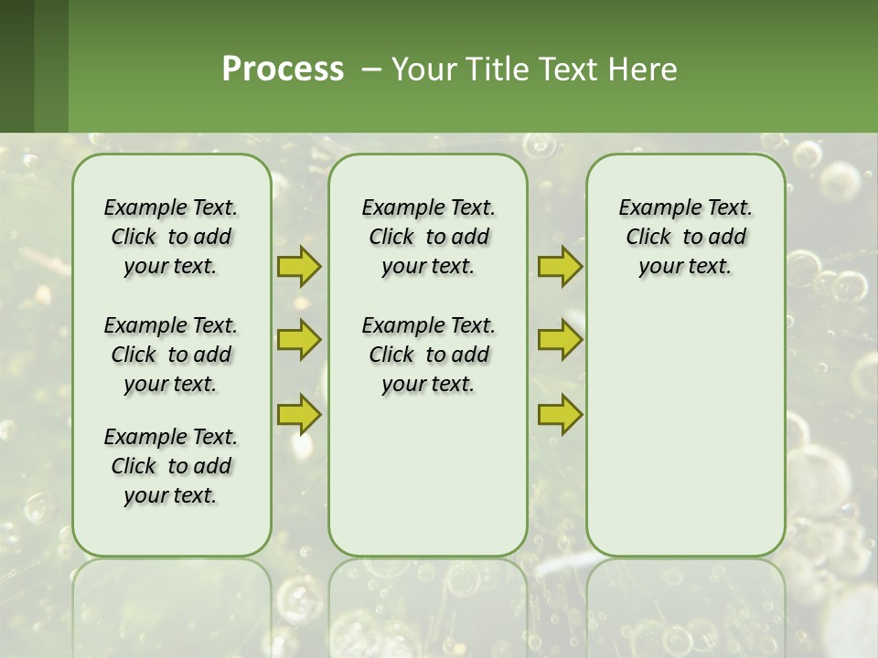 A Green Plant With Water Droplets On It PowerPoint Template
