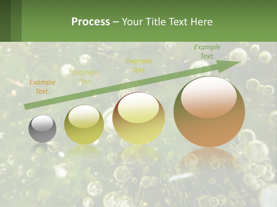 A Green Plant With Water Droplets On It PowerPoint Template