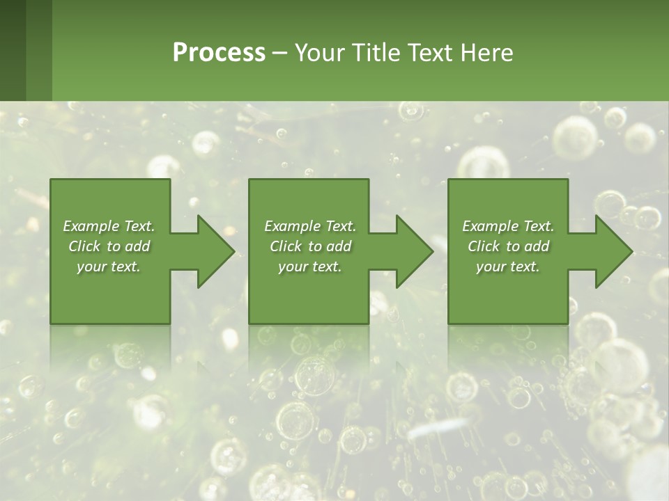 A Green Plant With Water Droplets On It PowerPoint Template