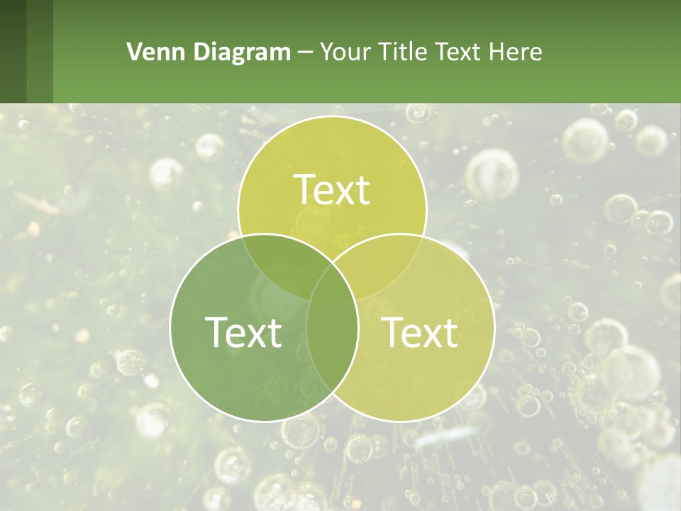 A Green Plant With Water Droplets On It PowerPoint Template