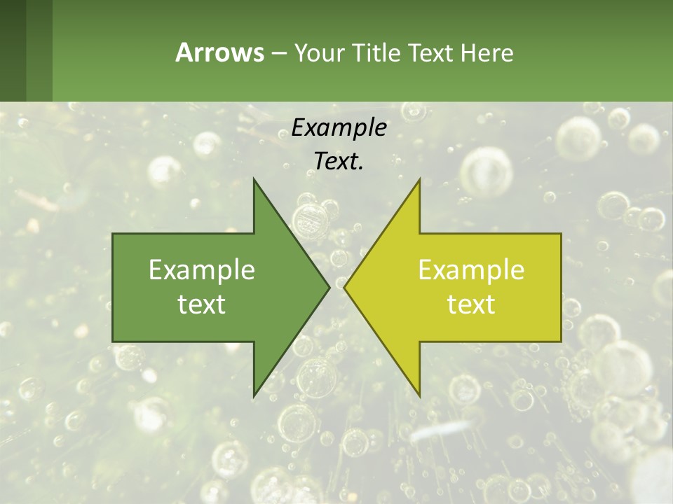 A Green Plant With Water Droplets On It PowerPoint Template