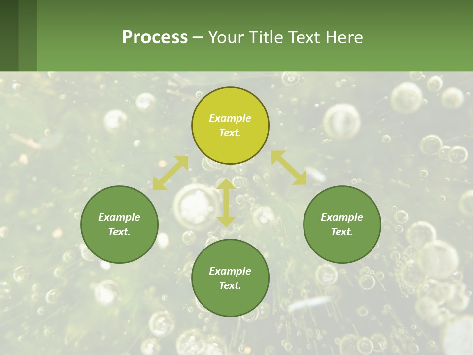 A Green Plant With Water Droplets On It PowerPoint Template