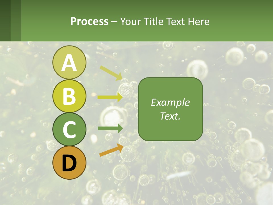 A Green Plant With Water Droplets On It PowerPoint Template