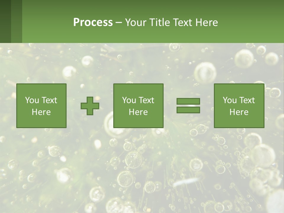 A Green Plant With Water Droplets On It PowerPoint Template