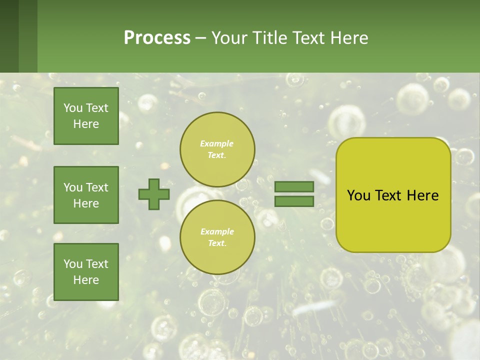 A Green Plant With Water Droplets On It PowerPoint Template
