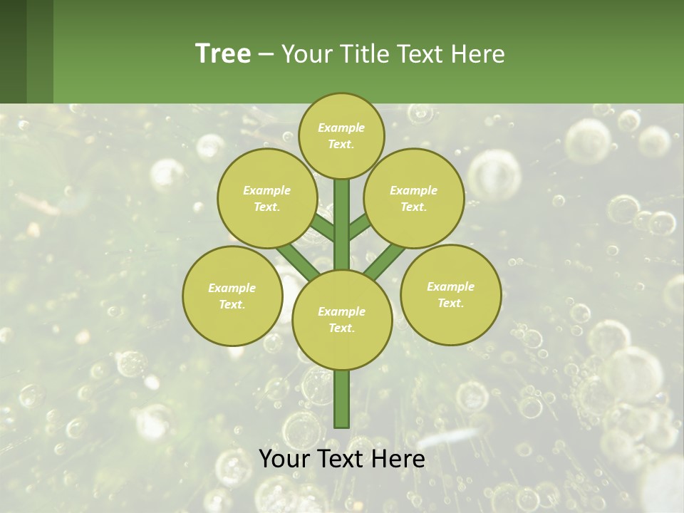 A Green Plant With Water Droplets On It PowerPoint Template