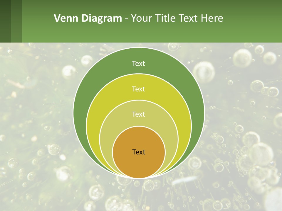 A Green Plant With Water Droplets On It PowerPoint Template