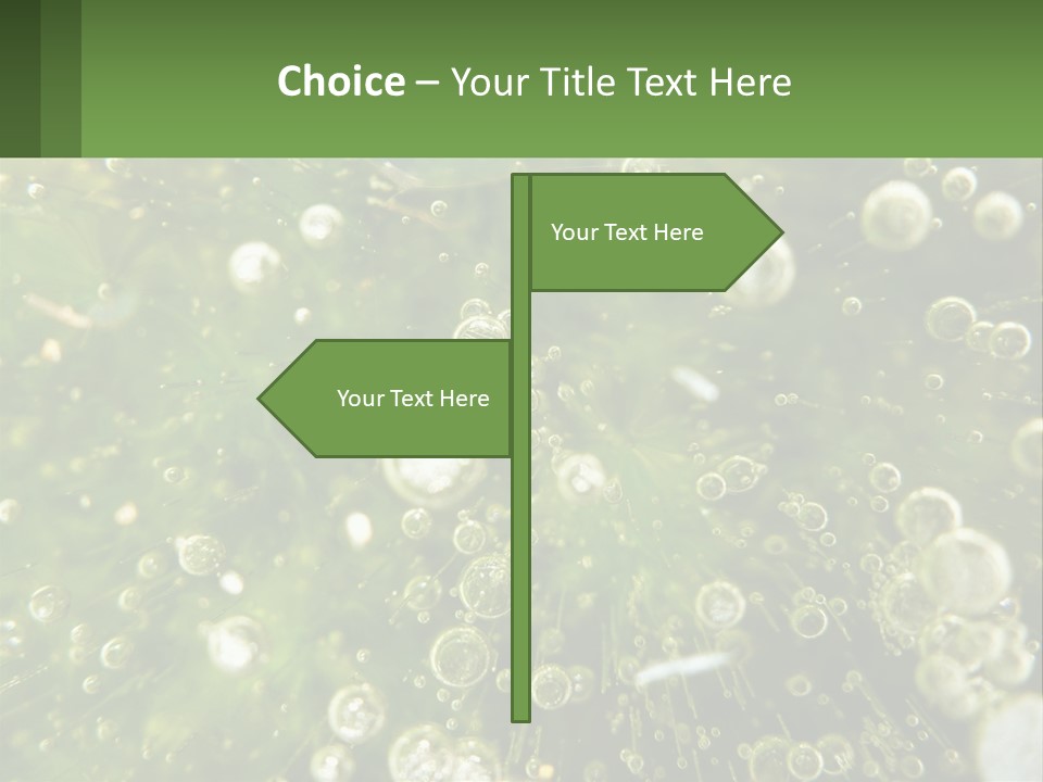 A Green Plant With Water Droplets On It PowerPoint Template