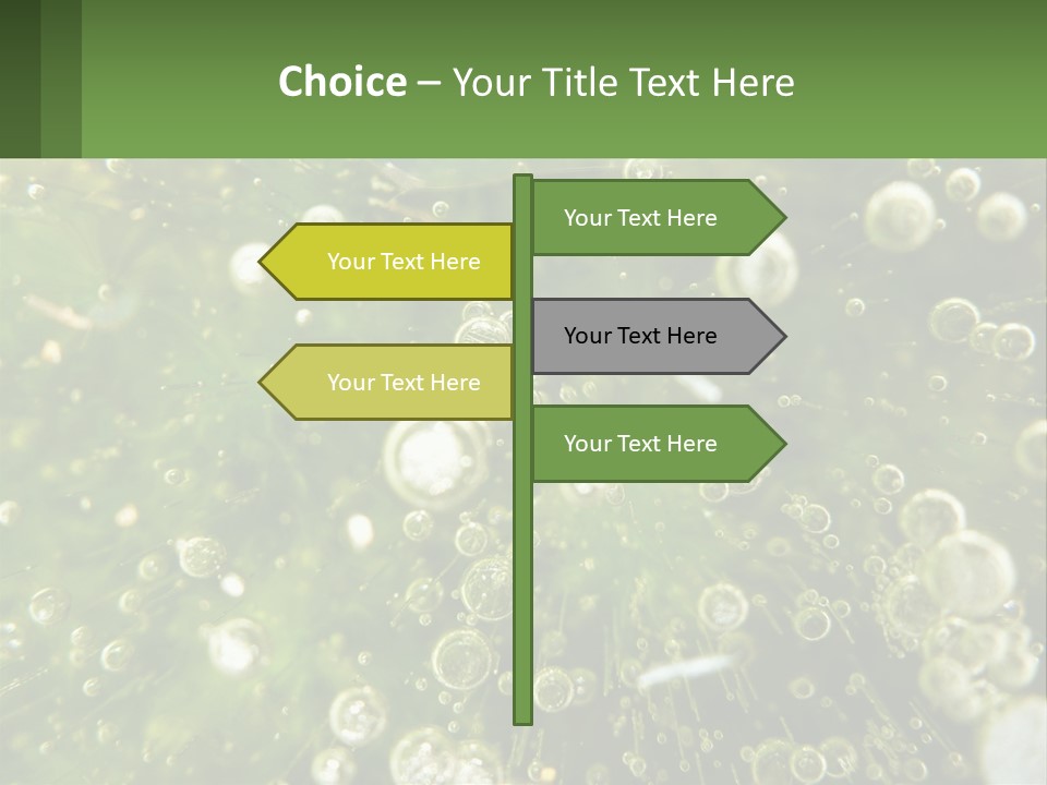 A Green Plant With Water Droplets On It PowerPoint Template