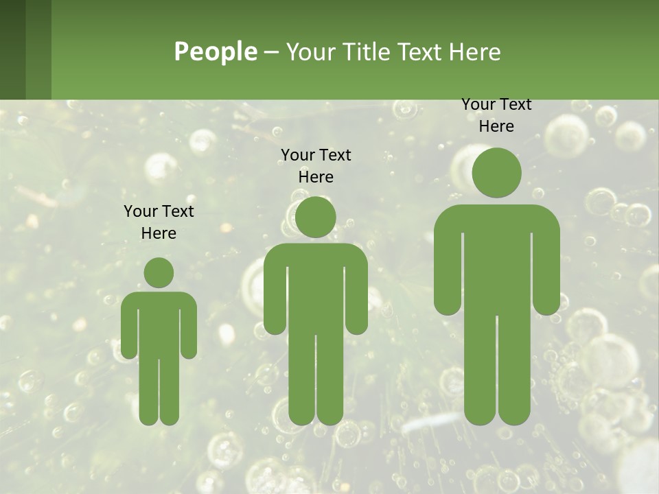 A Green Plant With Water Droplets On It PowerPoint Template