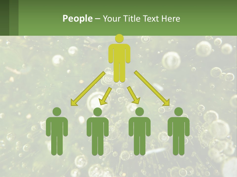 A Green Plant With Water Droplets On It PowerPoint Template