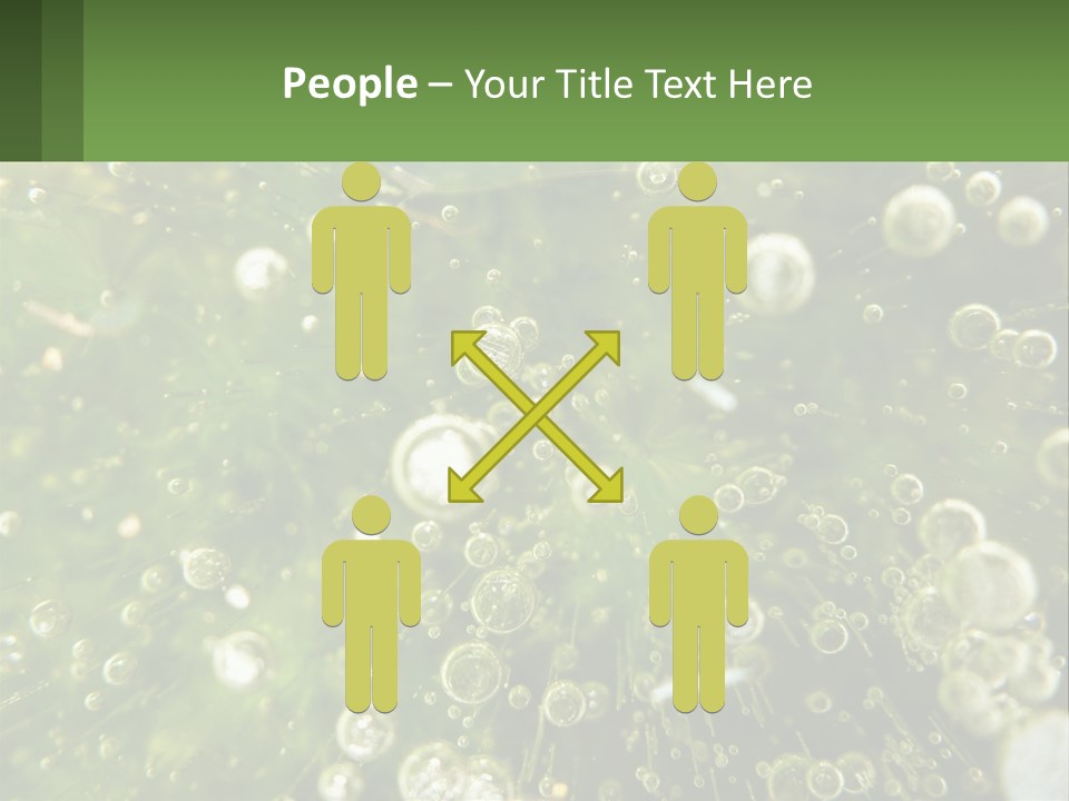 A Green Plant With Water Droplets On It PowerPoint Template