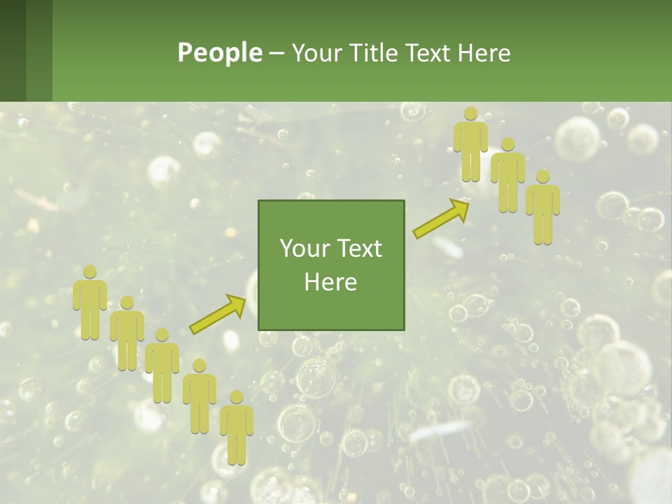 A Green Plant With Water Droplets On It PowerPoint Template