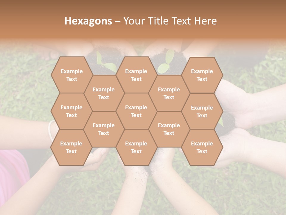 A Group Of People Holding Plants In Their Hands PowerPoint Template