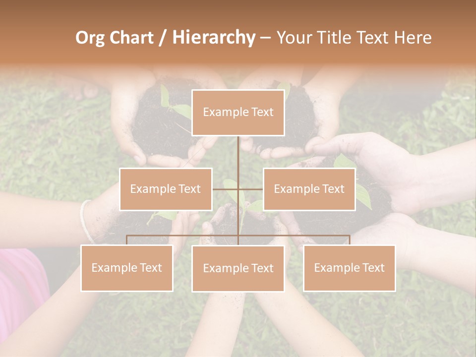 A Group Of People Holding Plants In Their Hands PowerPoint Template