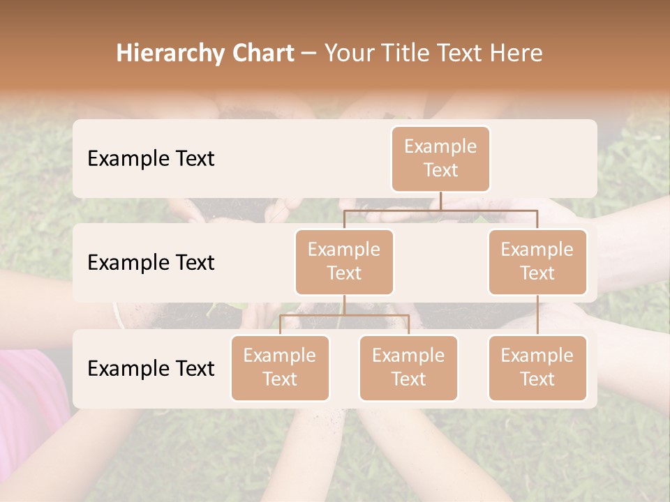 A Group Of People Holding Plants In Their Hands PowerPoint Template