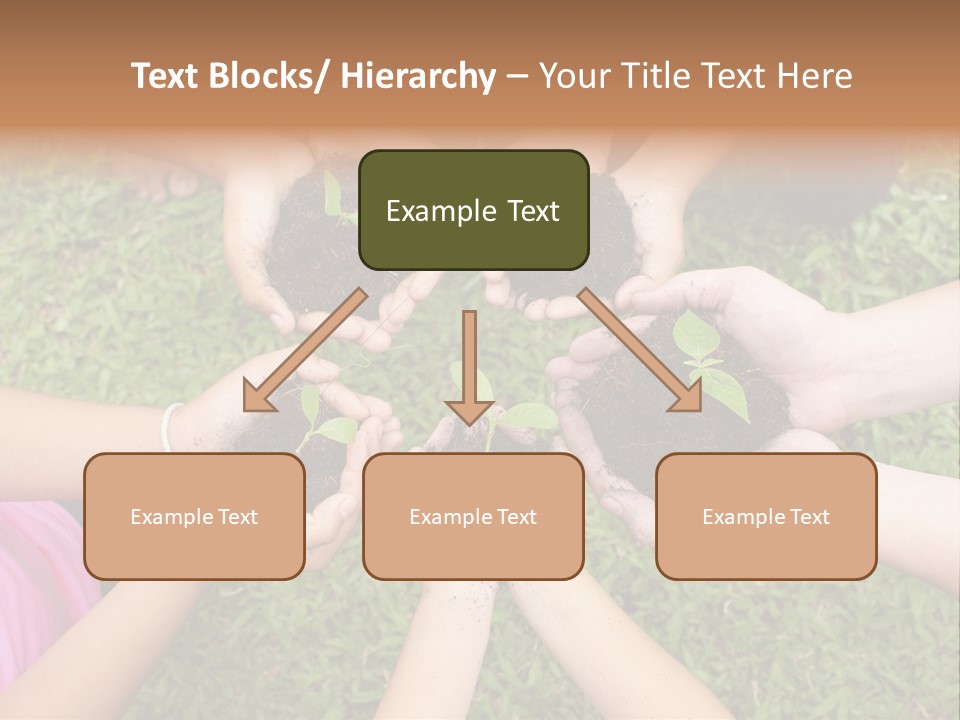 A Group Of People Holding Plants In Their Hands PowerPoint Template