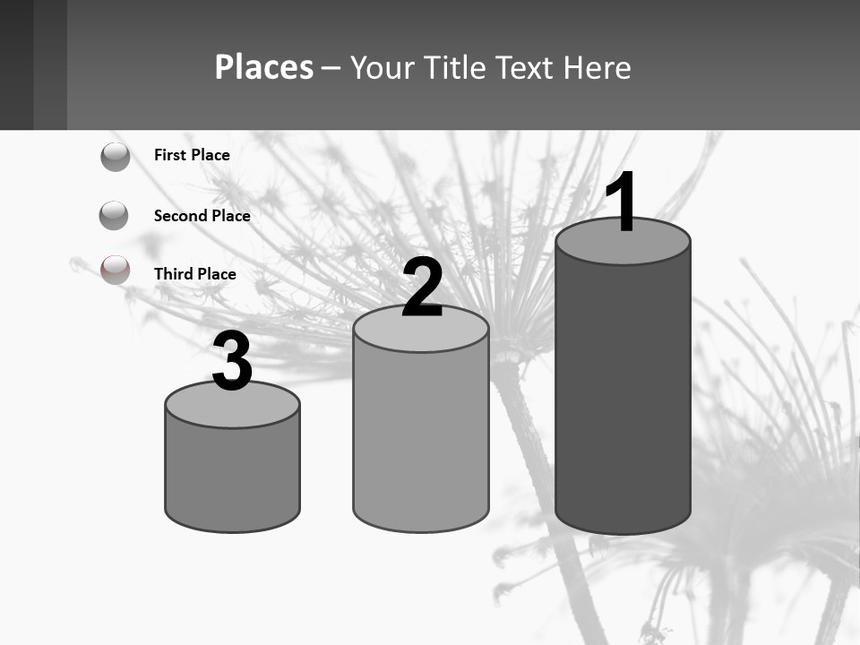 A Black And White Photo Of A Dandelion PowerPoint Template
