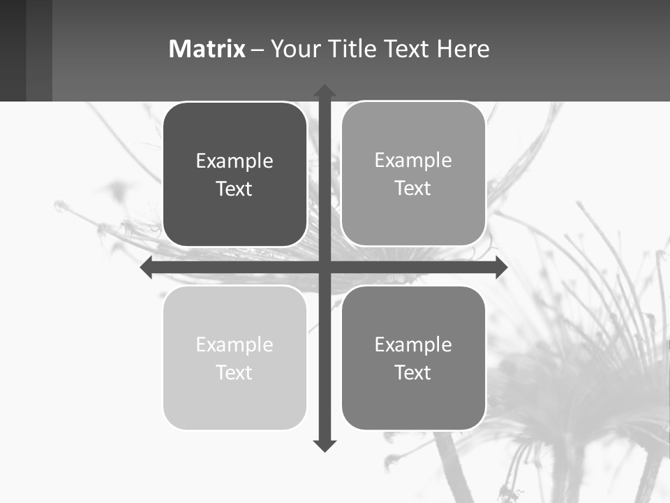 A Black And White Photo Of A Dandelion PowerPoint Template