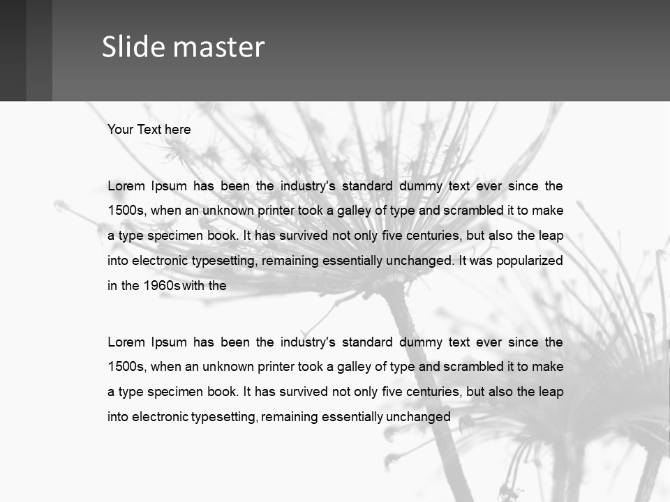 A Black And White Photo Of A Dandelion PowerPoint Template