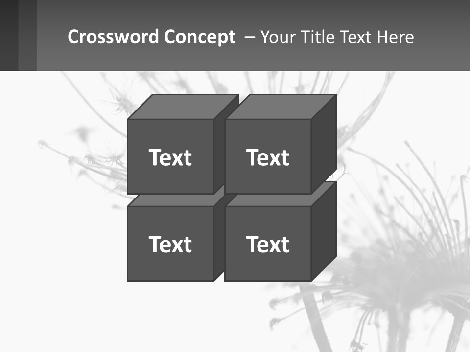 A Black And White Photo Of A Dandelion PowerPoint Template