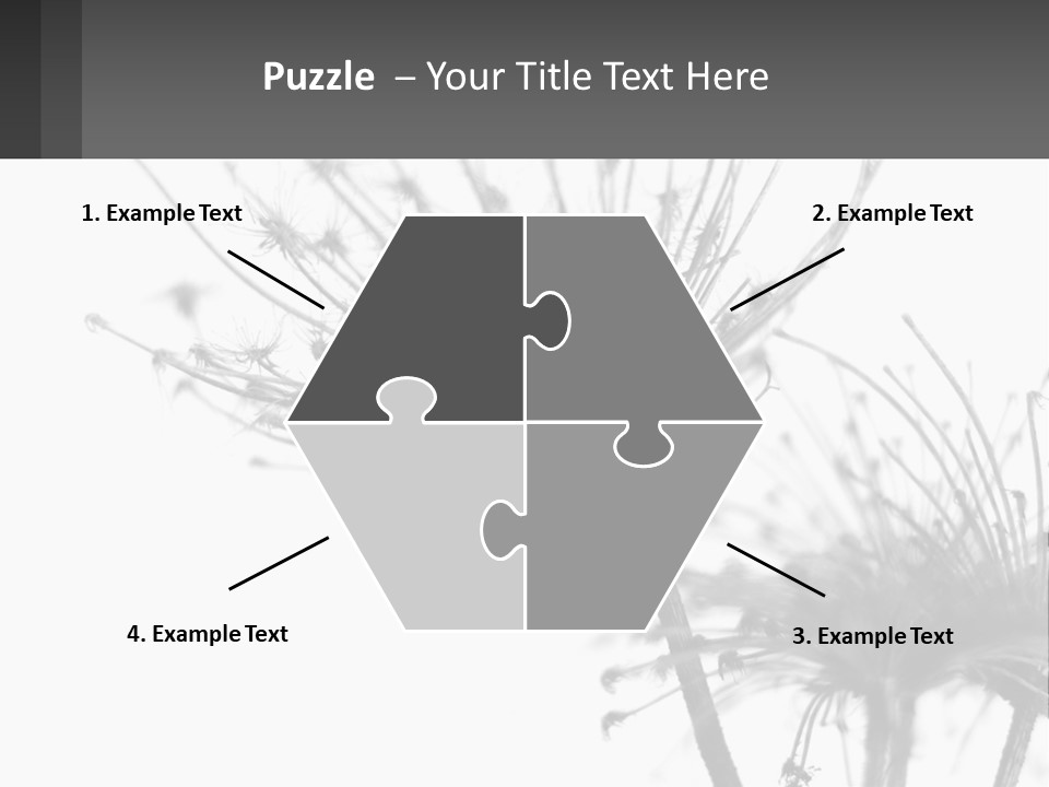 A Black And White Photo Of A Dandelion PowerPoint Template