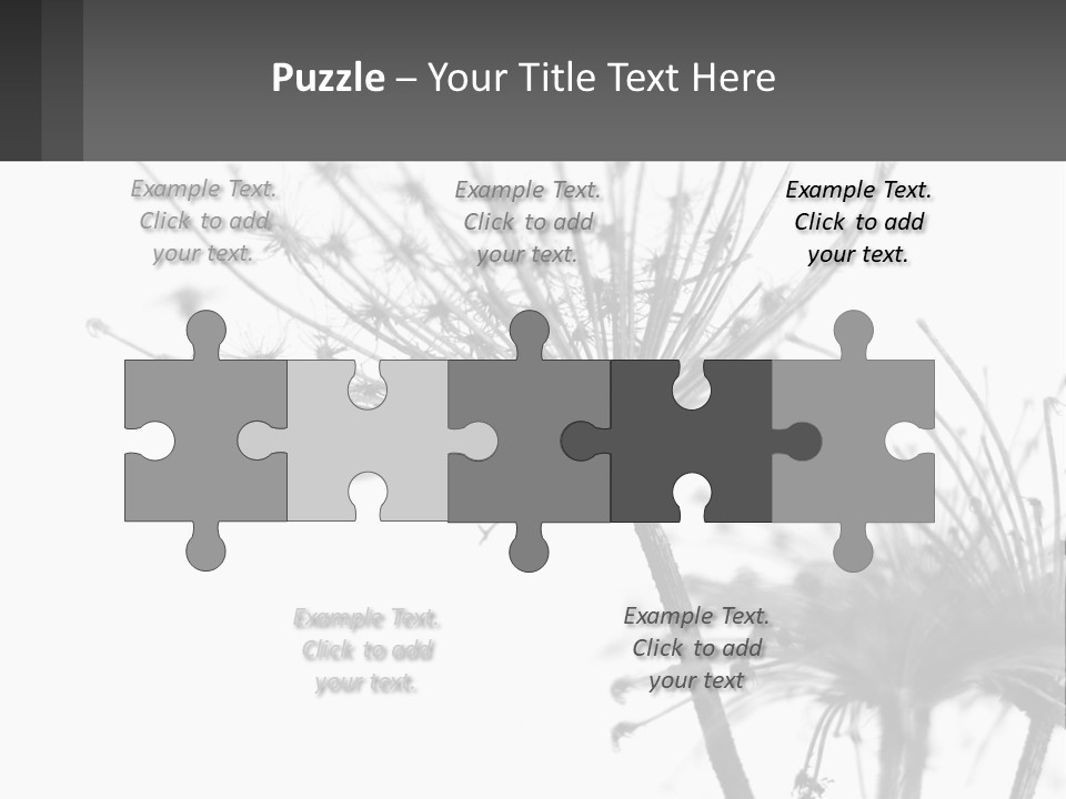 A Black And White Photo Of A Dandelion PowerPoint Template