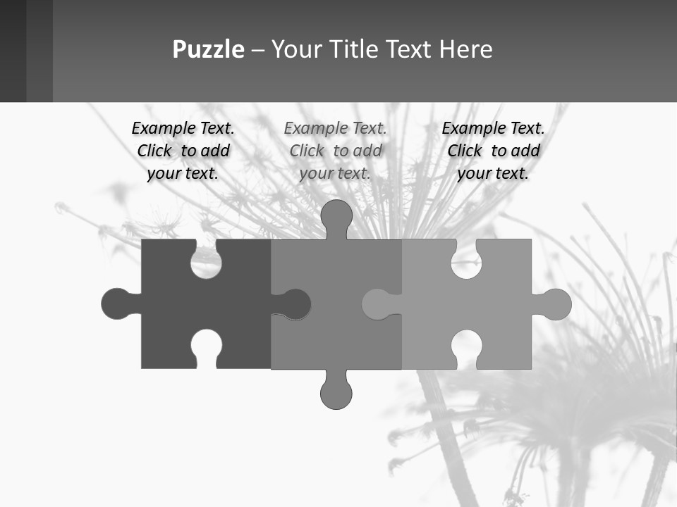 A Black And White Photo Of A Dandelion PowerPoint Template