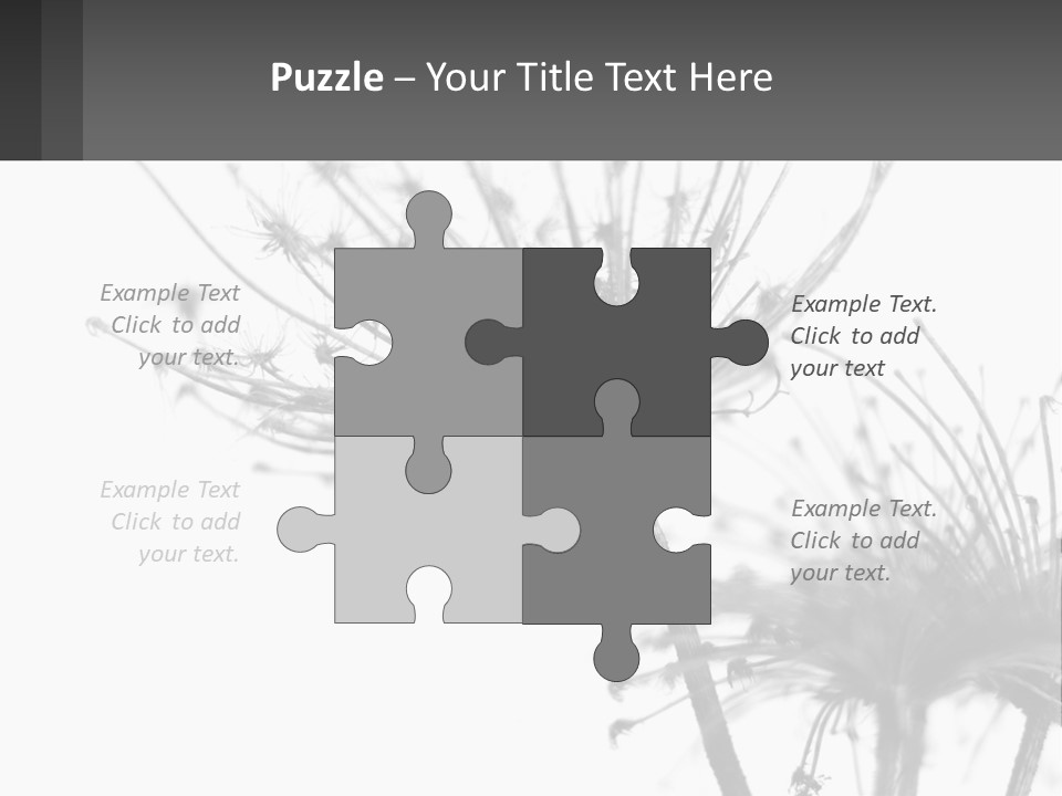 A Black And White Photo Of A Dandelion PowerPoint Template