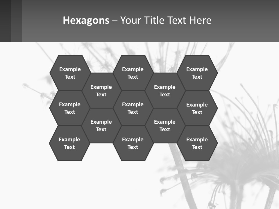 A Black And White Photo Of A Dandelion PowerPoint Template