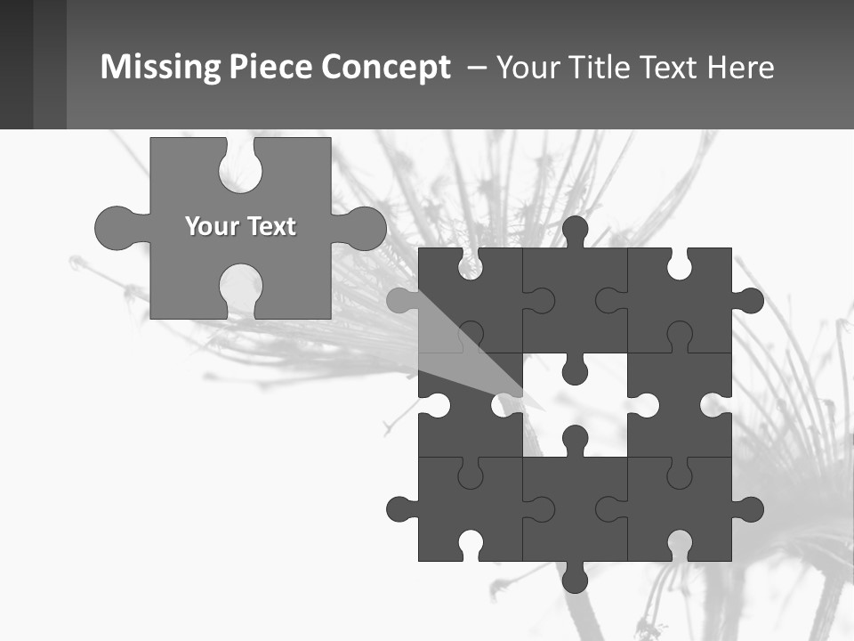 A Black And White Photo Of A Dandelion PowerPoint Template