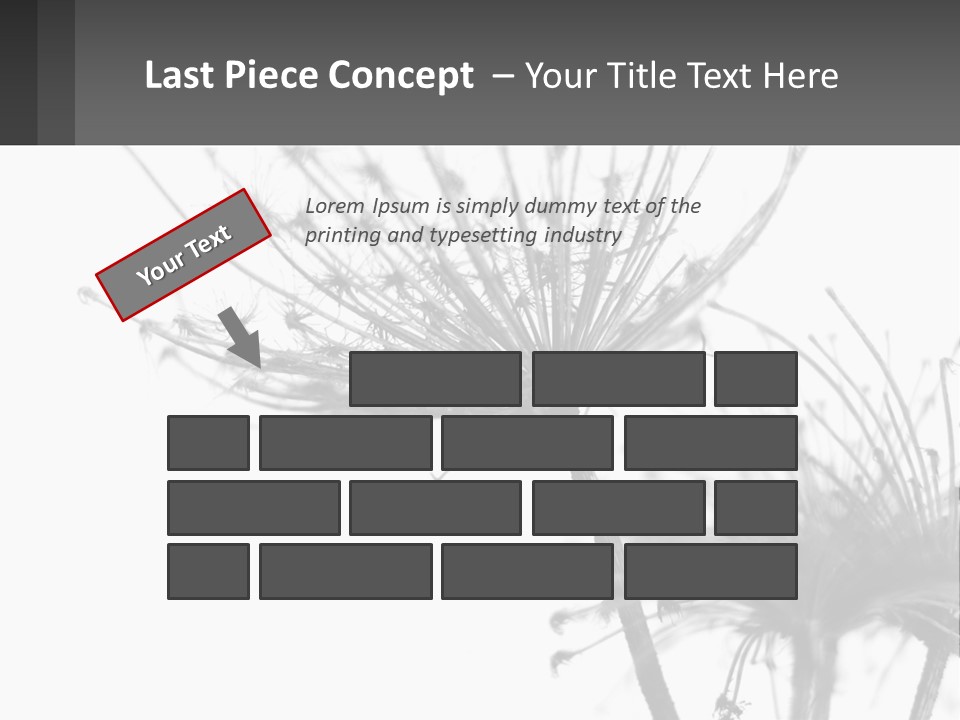 A Black And White Photo Of A Dandelion PowerPoint Template