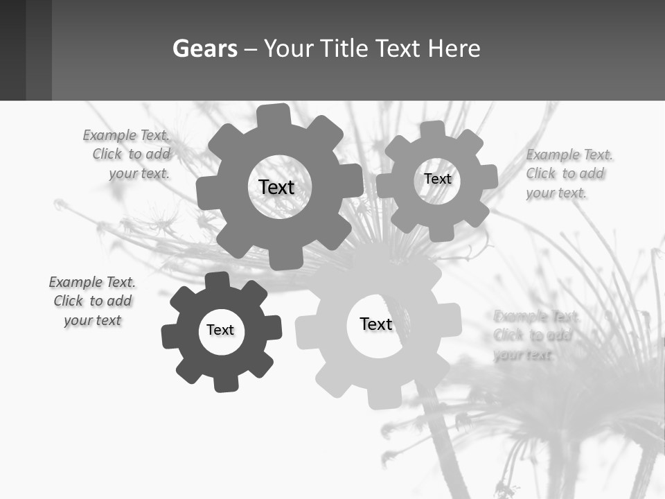 A Black And White Photo Of A Dandelion PowerPoint Template