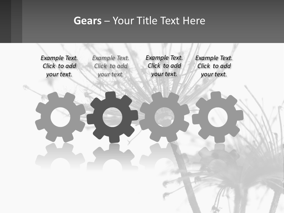 A Black And White Photo Of A Dandelion PowerPoint Template