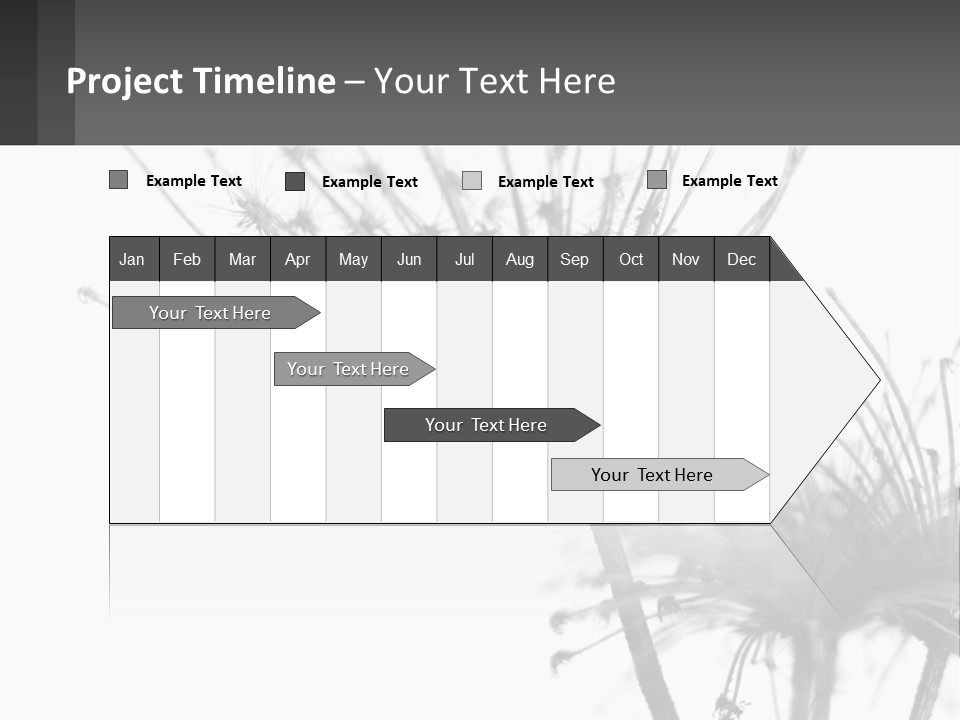 A Black And White Photo Of A Dandelion PowerPoint Template