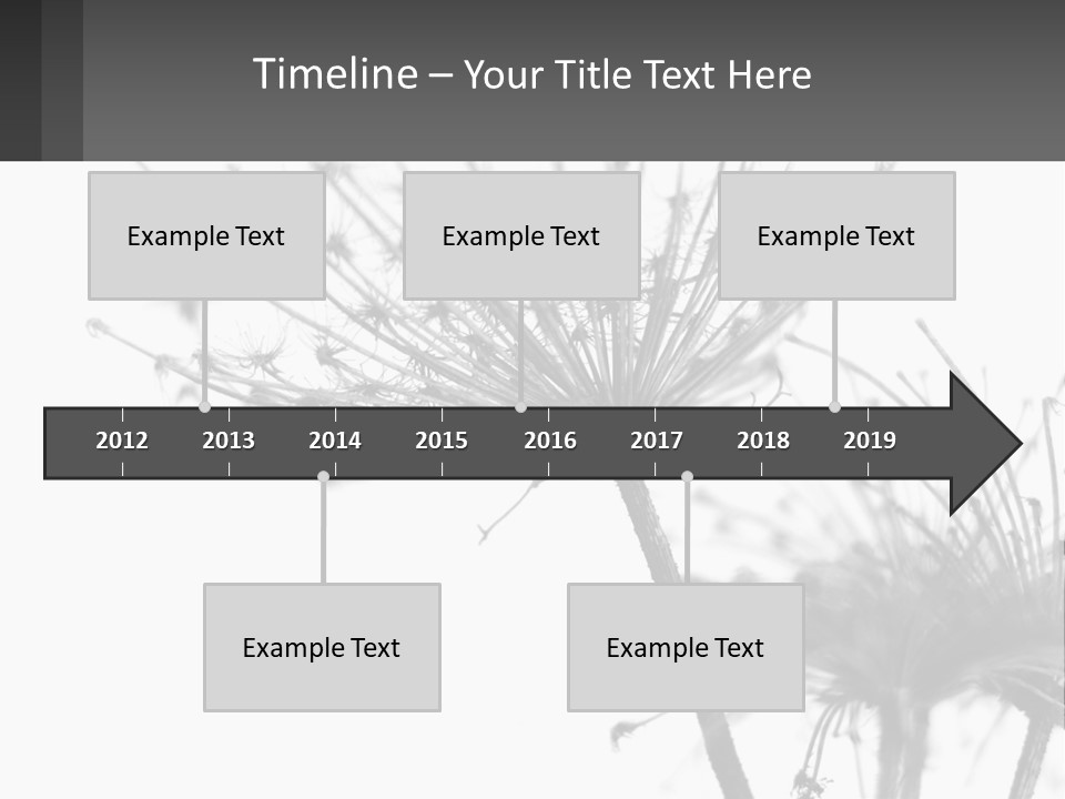 A Black And White Photo Of A Dandelion PowerPoint Template